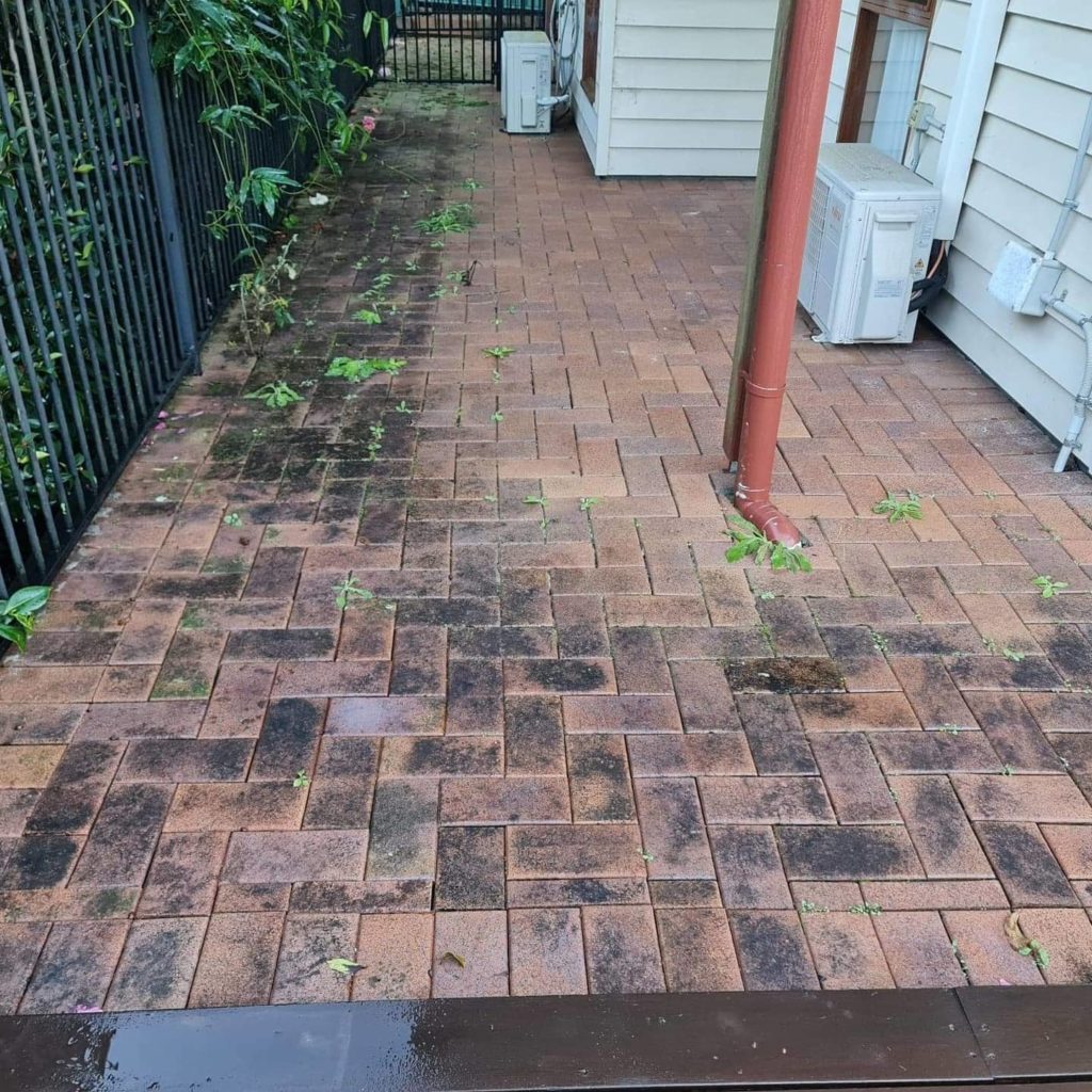 Pressure Washing Patio Algea Mould Removal